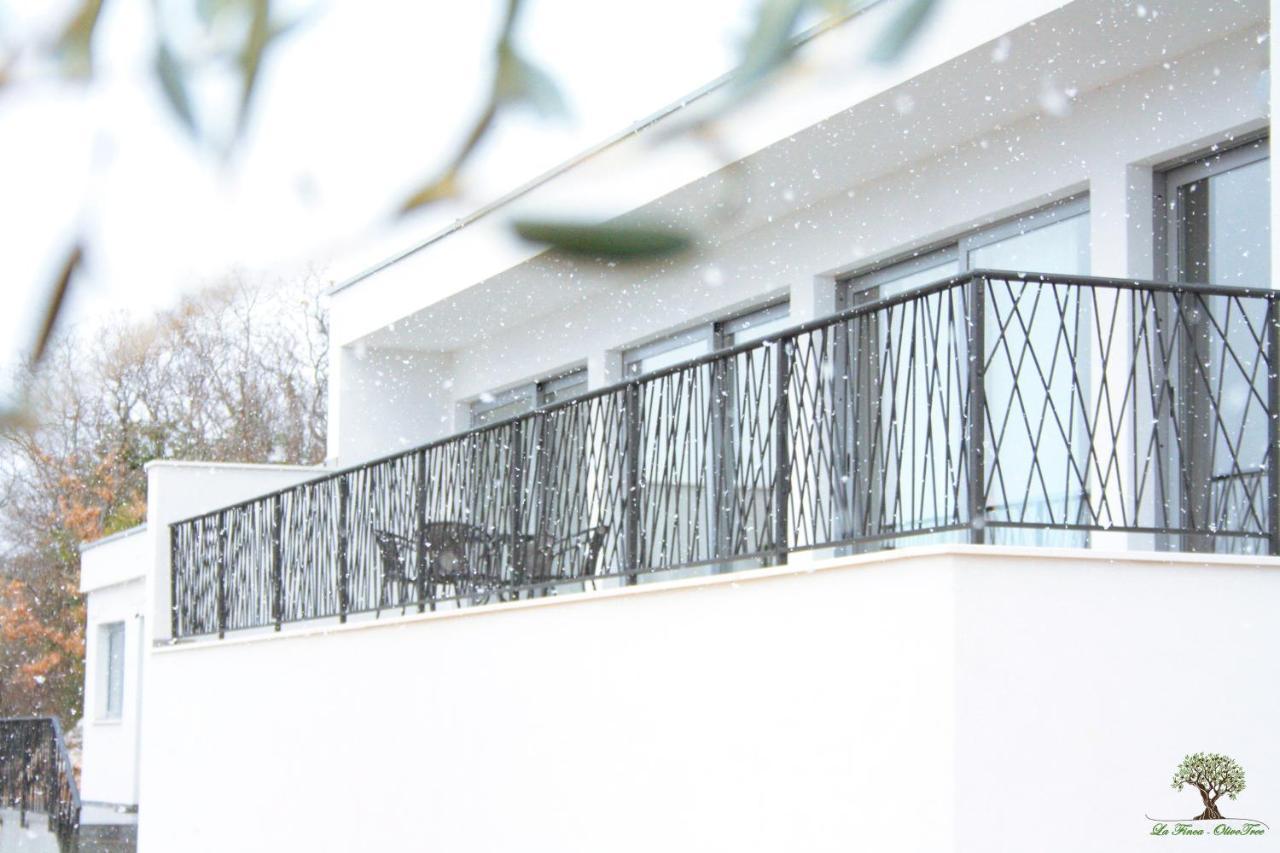 La Finca Olivetree Katuni Εξωτερικό φωτογραφία