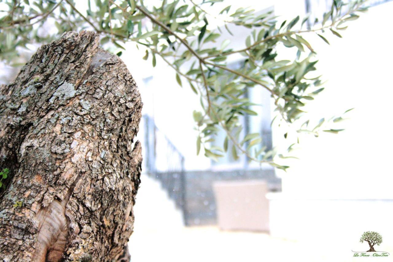 La Finca Olivetree Katuni Εξωτερικό φωτογραφία