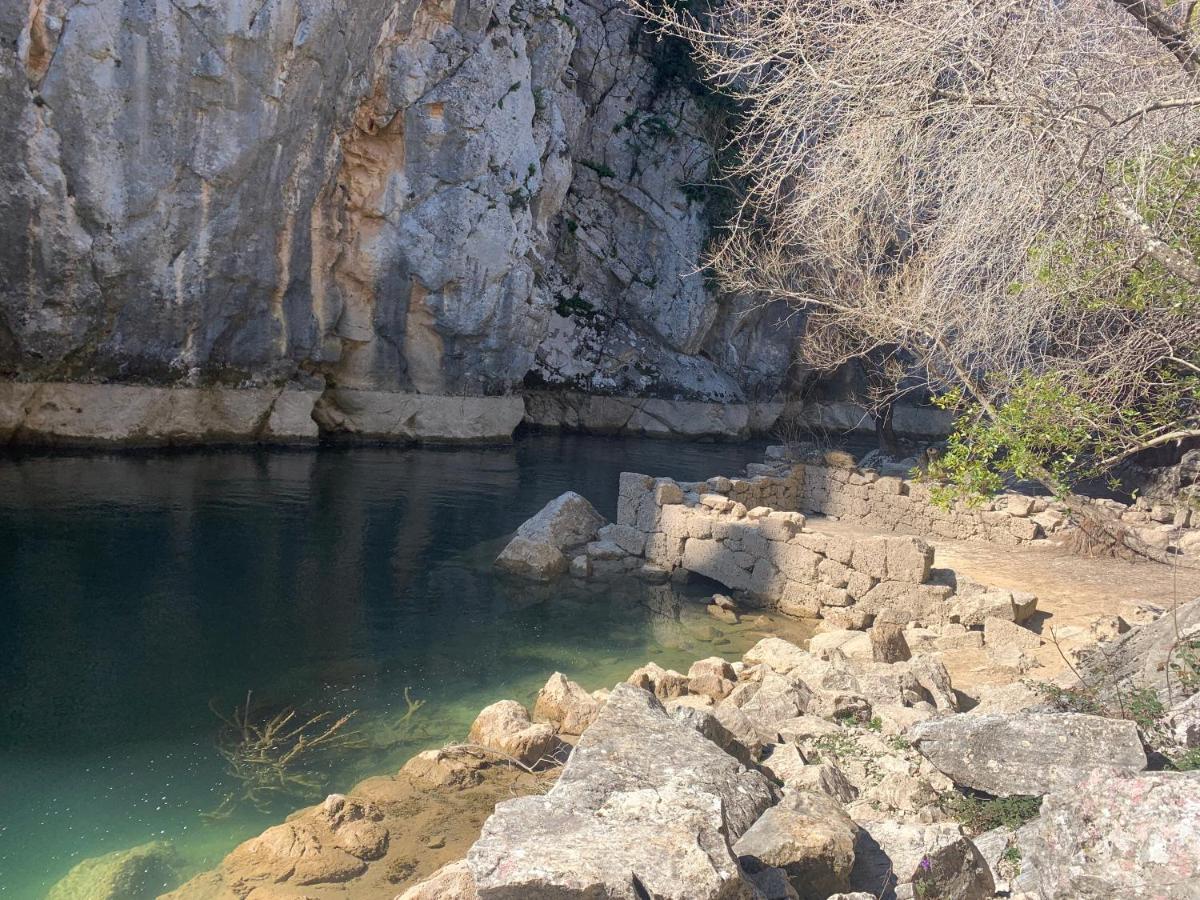 La Finca Olivetree Katuni Εξωτερικό φωτογραφία