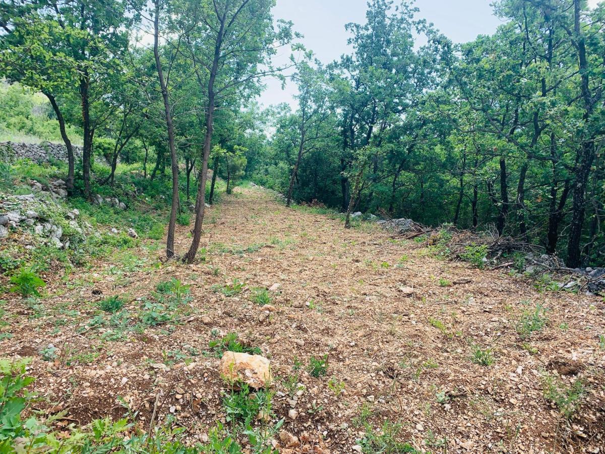 La Finca Olivetree Katuni Εξωτερικό φωτογραφία
